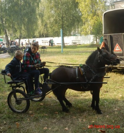 В Житомирі сьогодні відзначили найбільше свято урожаю – Обжинки